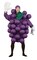 The Costume Center Purple Grapes Unisex One Size Adult Fancy Dress Costume